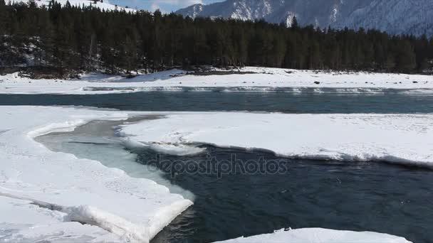 Confluence des rivières qui fondent au début du printemps — Video