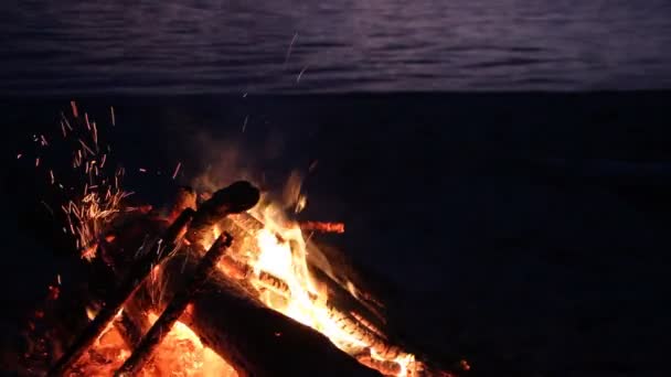 Brûlure de feu sur la rive de la rivière la nuit — Video