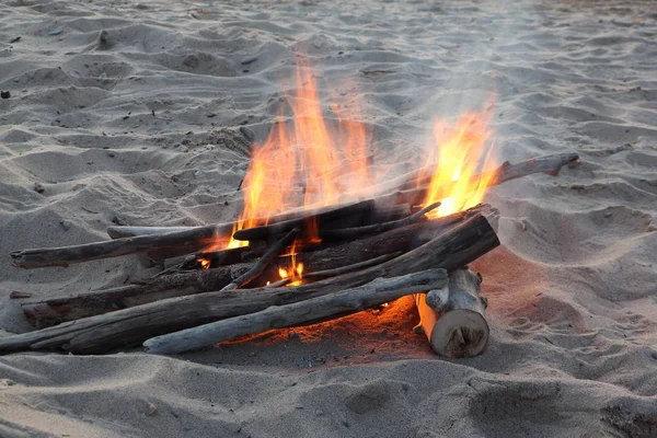 Types de feux de joie : la taïga brûle sur le sable — Photo