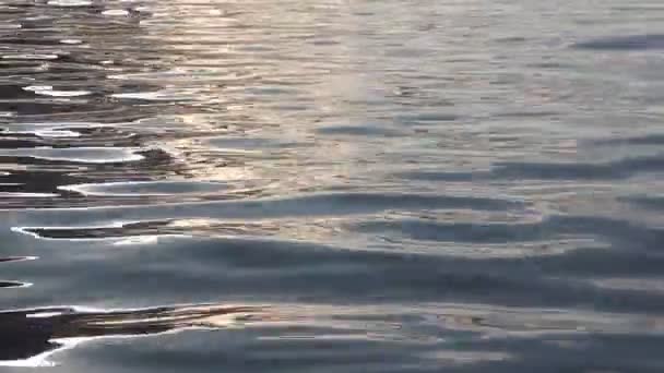 सूर्योदय पर नदी में पानी, प्राकृतिक पृष्ठभूमि — स्टॉक वीडियो