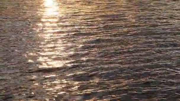 Vatten i floden vid solnedgången, naturlig bakgrund — Stockvideo