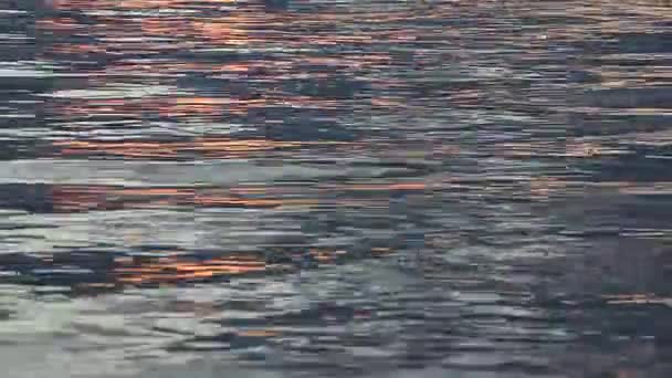 Agua en el río al atardecer, fondo natural — Vídeo de stock