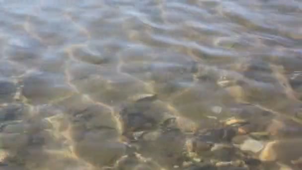 Agua en el río al atardecer, fondo natural — Vídeos de Stock
