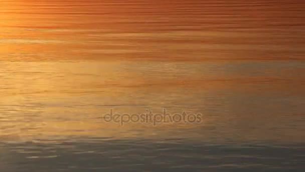 Water in the river at sunset, natural background — Stock Video