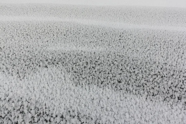 Rime en el hielo del río helado, fondo natural — Foto de Stock