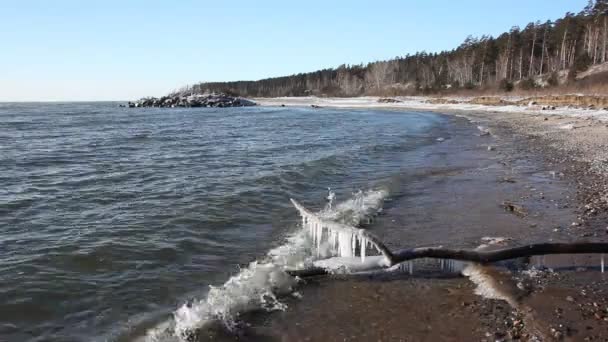 Ледообразование на реке осенью, Обское водохранилище, Сибирь, Россия — стоковое видео