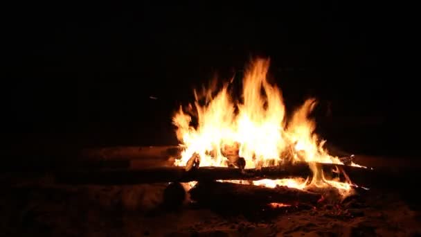 Костёр горит на тёмном фоне ночью — стоковое видео