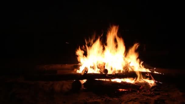 Lagerfeuer brennt nachts auf dunklem Hintergrund — Stockvideo