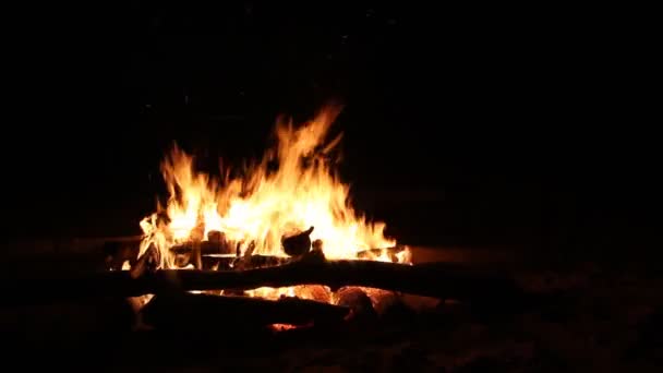 Vreugdevuur branden op een donkere achtergrond bij nacht — Stockvideo