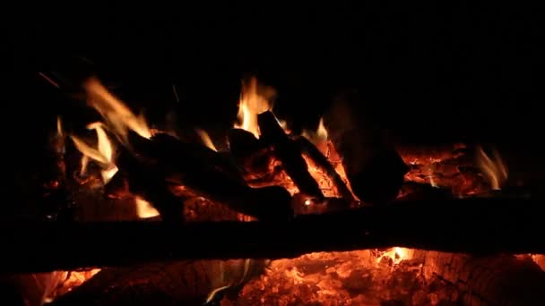 Lagerfeuer brennt nachts auf dunklem Hintergrund — Stockvideo