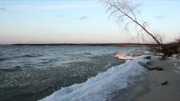 秋に冷凍川氷夕日 貯水池 シベリア ロシアで — ストック動画