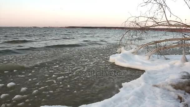 Ghiaccio Fiume Ghiacciato Autunno Tramonto Serbatoio Siberia Russia — Video Stock