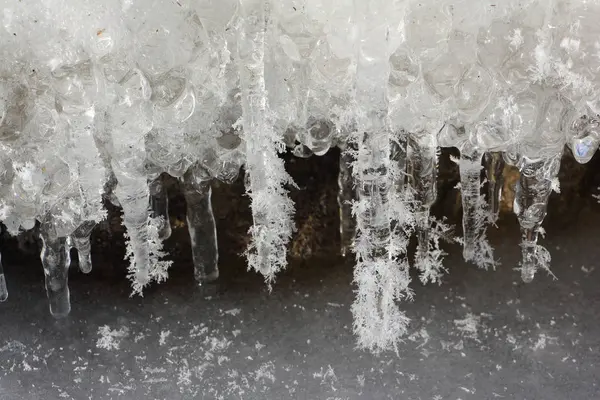 Icicles in  rime on a stone on a freezing river — Stock Photo, Image