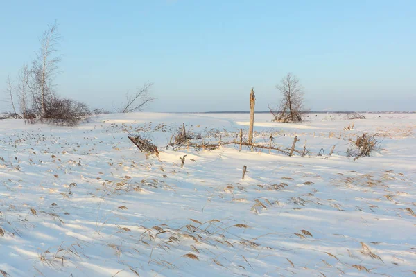 Eiland in de rivier van de bevroren in de winter bij dageraad — Stockfoto