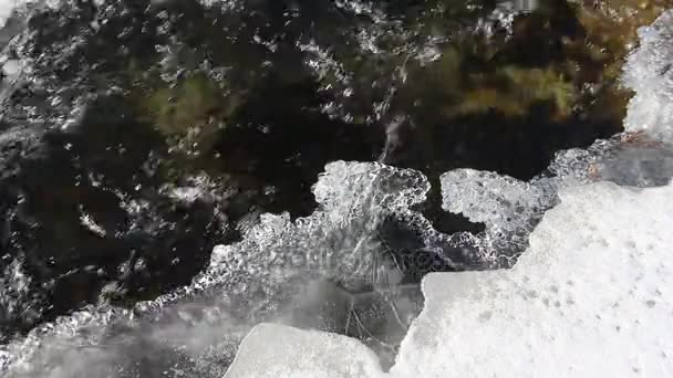 Bouřlivé Proud Vody Pod Tenkým Ledem Řeky Řeka Chemal Altaj — Stock video