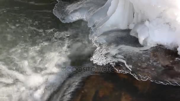Belokurikha 阿尔泰 俄罗斯 泉水在透明冰下的裂缝中流动 — 图库视频影像