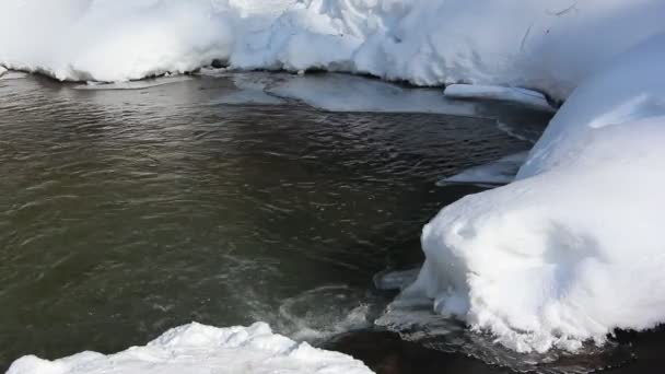 Som Smälter Vid Floden Tidigt Våren Belokurikha River Altai Ryssland — Stockvideo