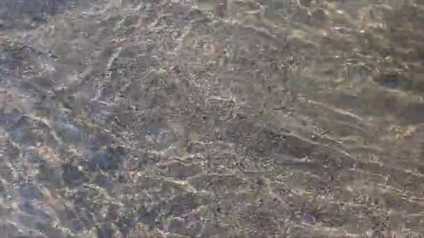 Fluxo Suave Água Transparente Rio Fundo Natural Rio Belokurikha Altai — Vídeo de Stock