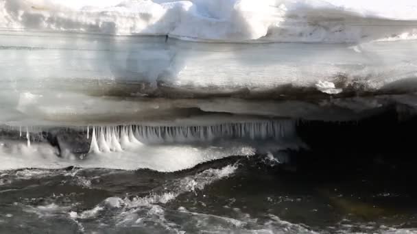 Hielo Que Derrite Río Principios Primavera Chemal River Altai Rusia — Vídeos de Stock