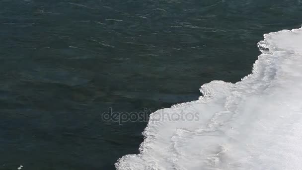 Fluxo Água Sob Gelo Fino Rio Rio Chemal Altai Rússia — Vídeo de Stock