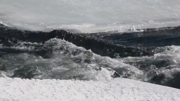 Topniejącego Lodu Rzece Wczesną Wiosną Rzeka Chemal Ałtaj Rosja — Wideo stockowe
