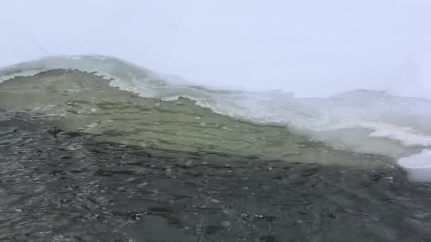 Ghiaccio Che Scioglie Sul Fiume Primavera Bugotak River Novosibirsk Russia — Video Stock