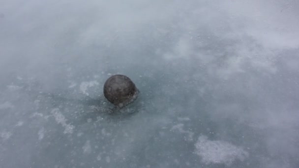 Bubble Oil Rotating Ice River Spring River Siberia Russia — Stock Video