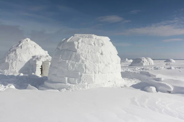 Igloo stojący na snowy Polanie w zimie — Zdjęcie stockowe