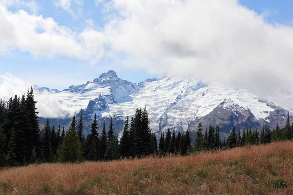 Vista del Monte Rainier, Montañas Cascade, Estado de Washington, EE.UU. — Foto de Stock