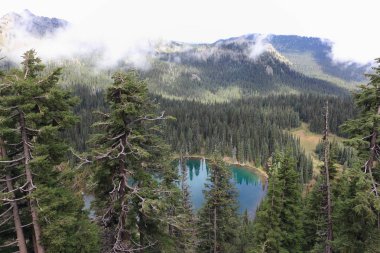 Gündoğumu Gölü, üzerinde asılı beyaz bulutlar, Mount Rainier, Usa