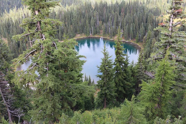 Sunrise Lake Cerca Mount Rainier Estados Unidos Washington State — Foto de Stock