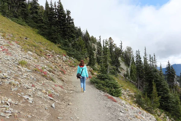 Kobieta idąca górskim szlakiem niedaleko Mount Rainier, Usa — Zdjęcie stockowe