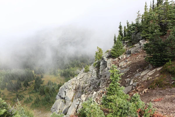 Hillside w chmurze mgły, Mount Rainier, Waszyngton, Usa — Zdjęcie stockowe
