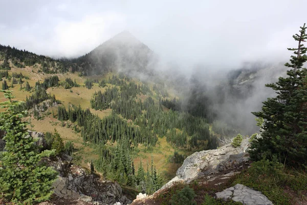 霧の雲の中の丘の中腹,レイニア山,ワシントン州,アメリカ — ストック写真