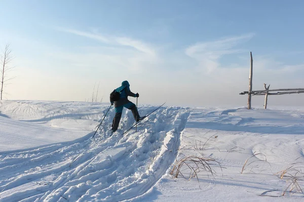 Vrouw Skiën Het Pad Van Een Sneeuwscooter Een Besneeuwd Eiland — Stockfoto