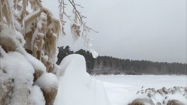 Soğuk taşlar ve ağaç dalları kışın kar fırtınasında bir nehir kıyısında, Ob Barajı, Novosibirsk, Rusya
