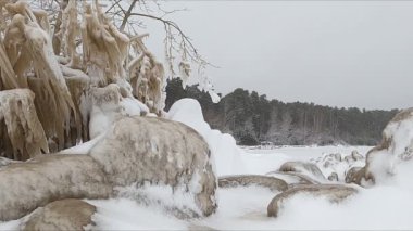 Soğuk taşlar ve ağaç dalları kışın kar fırtınasında bir nehir kıyısında, Ob Barajı, Novosibirsk, Rusya
