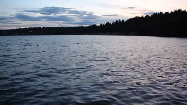 Вечер Озере Вашингтон Сиэтл Сша — стоковое видео