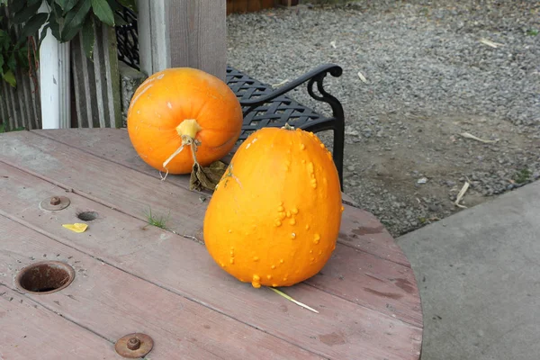 Oranje rijpe pompoenen op een houten tafel — Stockfoto