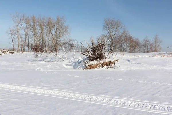 Trail vanaf een sneeuwscooter op het eiland Novosibirsk, Rusland — Stockfoto