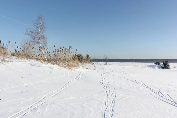 Snowy Island Hrenoviy, Ob Reservoir, Novosibirsk, Rusland — Stockfoto