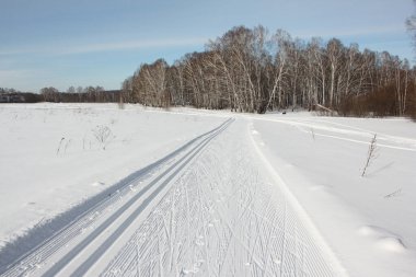 Spor karşılaşmaları için kırsal kayak pisti, Novosibirsk, Rusya