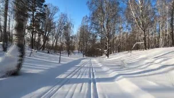 Skiverkeer Het Bos Winter Novosibirsk Rusland — Stockvideo