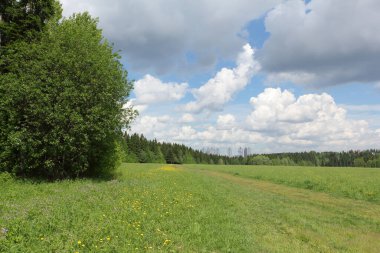 Bahar ormanlarında patika, Perm şehri, Rusya