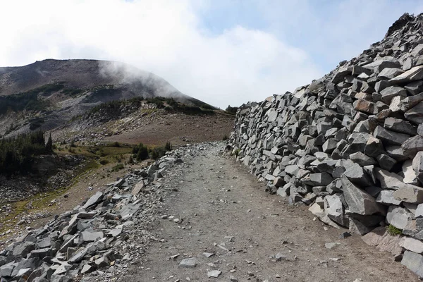 Szlak Wschodu Słońca Parku Mount Rainier Jesienią Waszyngton Usa — Zdjęcie stockowe