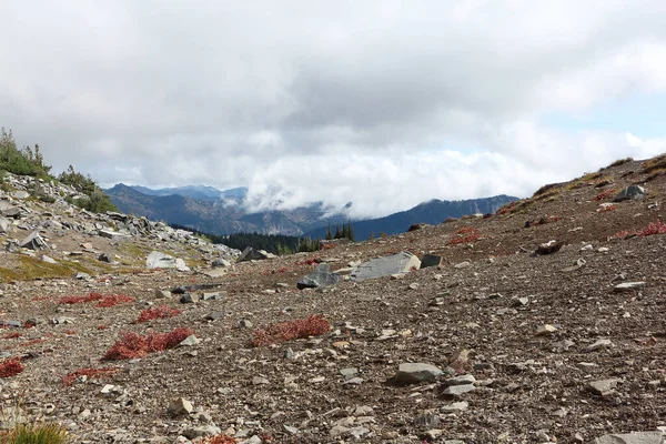 Sunrise Trail Parque Mount Rainier Otoño Washington —  Fotos de Stock