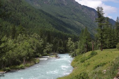 Altai Dağları arasında akan Kucherla Nehri, Rusya
