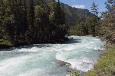 Altai Dağları arasında akan Kucherla Nehri, Rusya