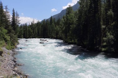 Altai Dağları arasında akan Kucherla Nehri, Rusya