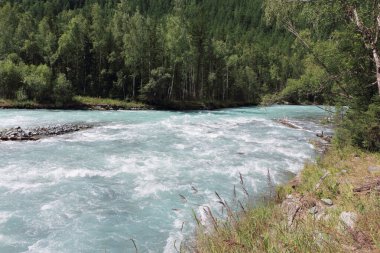 Altai Dağları arasında akan Kucherla Nehri, Rusya
